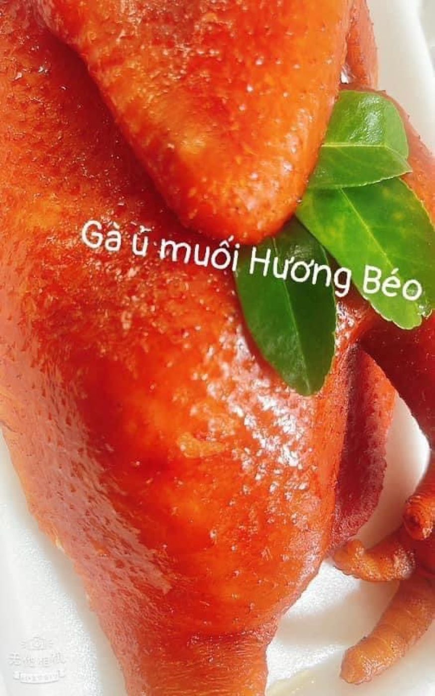 Gà ủ muối Xì Dầu Hương Béo