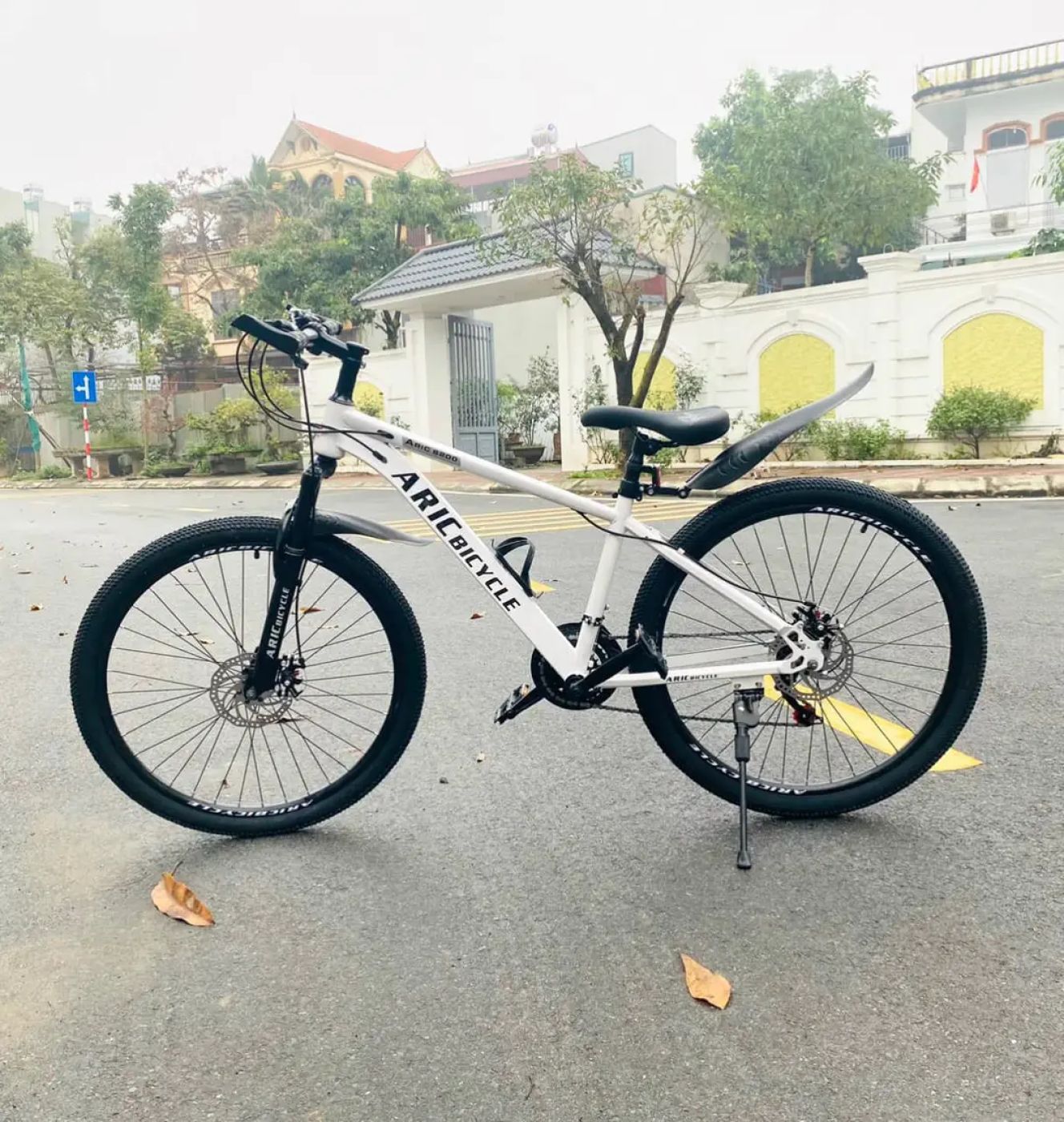 Xe đạp thể thao địa hình ARIC BICYCLE mã Aric 200