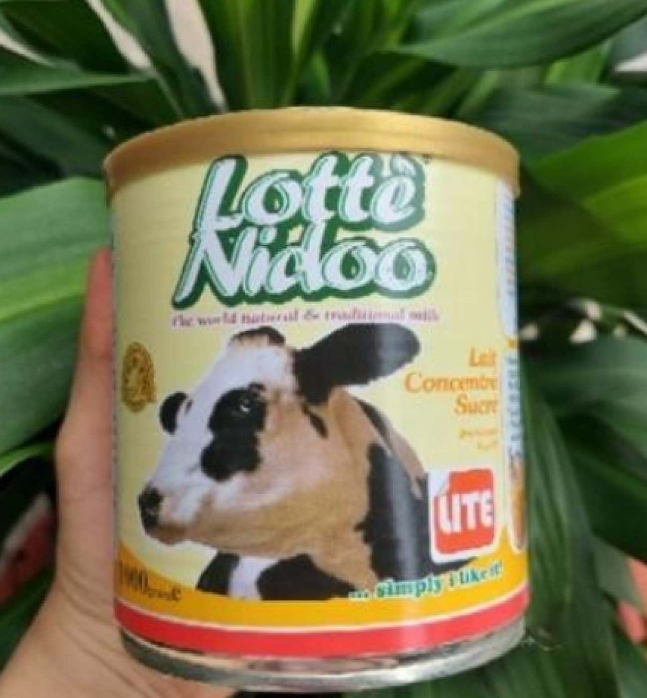 Sữa Đặc Lotte Nidoo
