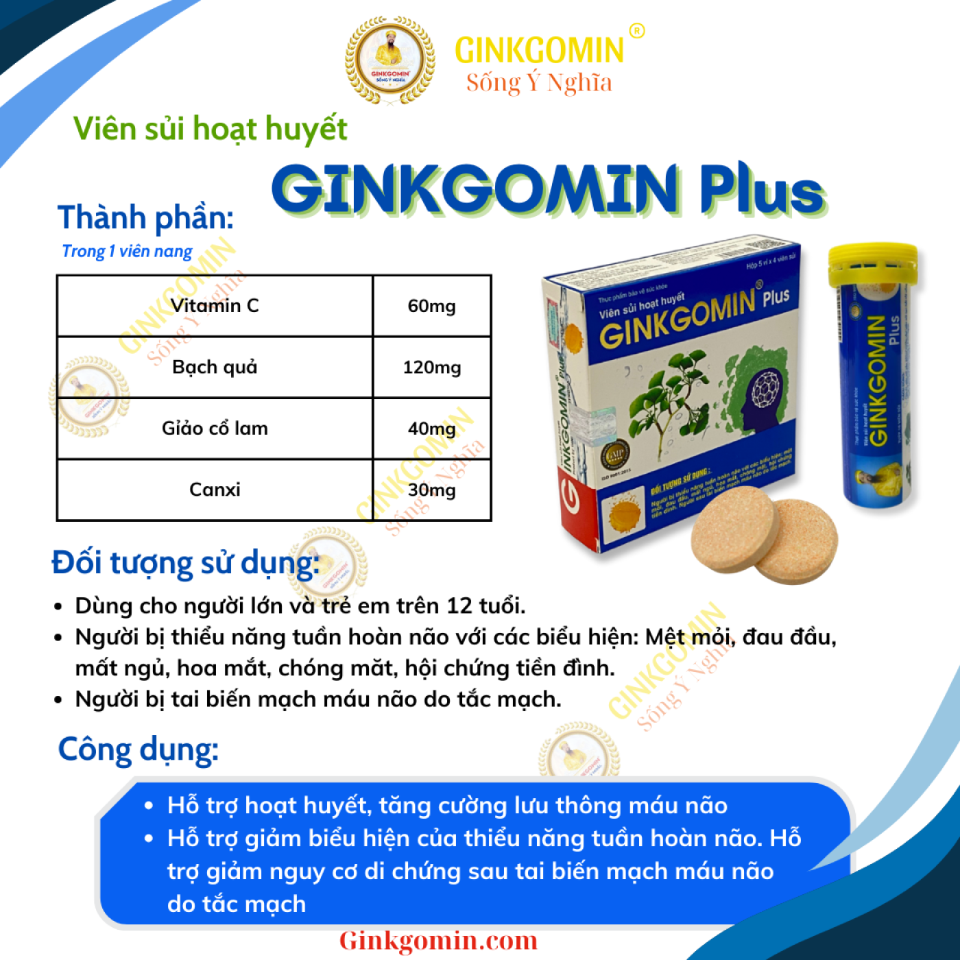 G06 – Ginkgomin Plus ( Tuýp )